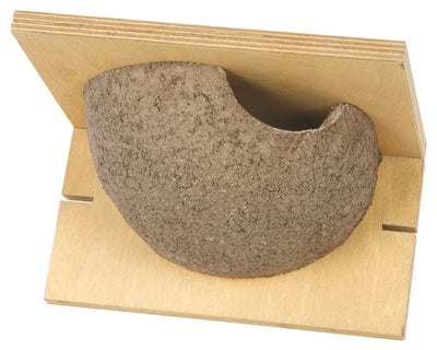 CJ Wildlife House Martin Nest Single